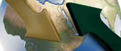 Overview